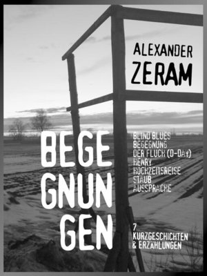 cover image of BEGEGNUNGEN